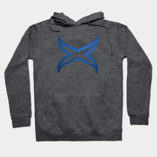 2021 Team Blue Hoodie